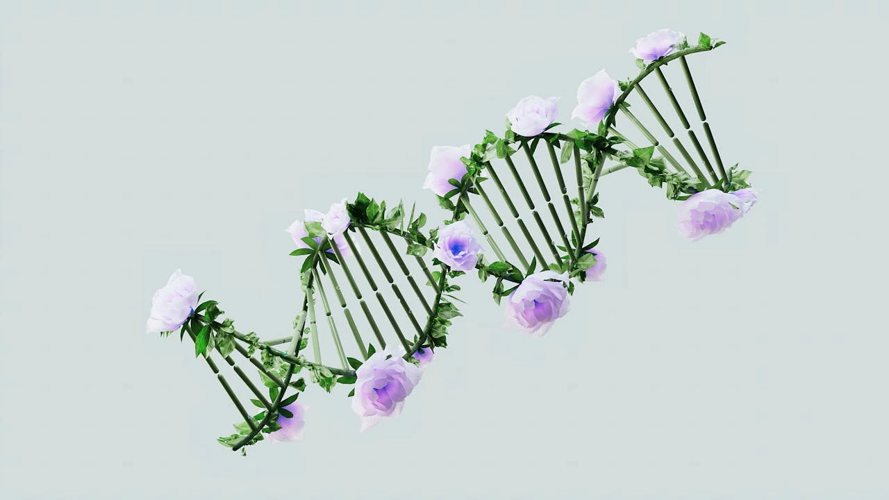 La startup biotecnologica CrisprBits sviluppa una piattaforma per la diagnostica basata su CRISPR per la rilevazione precoce della resistenza agli antibiotici