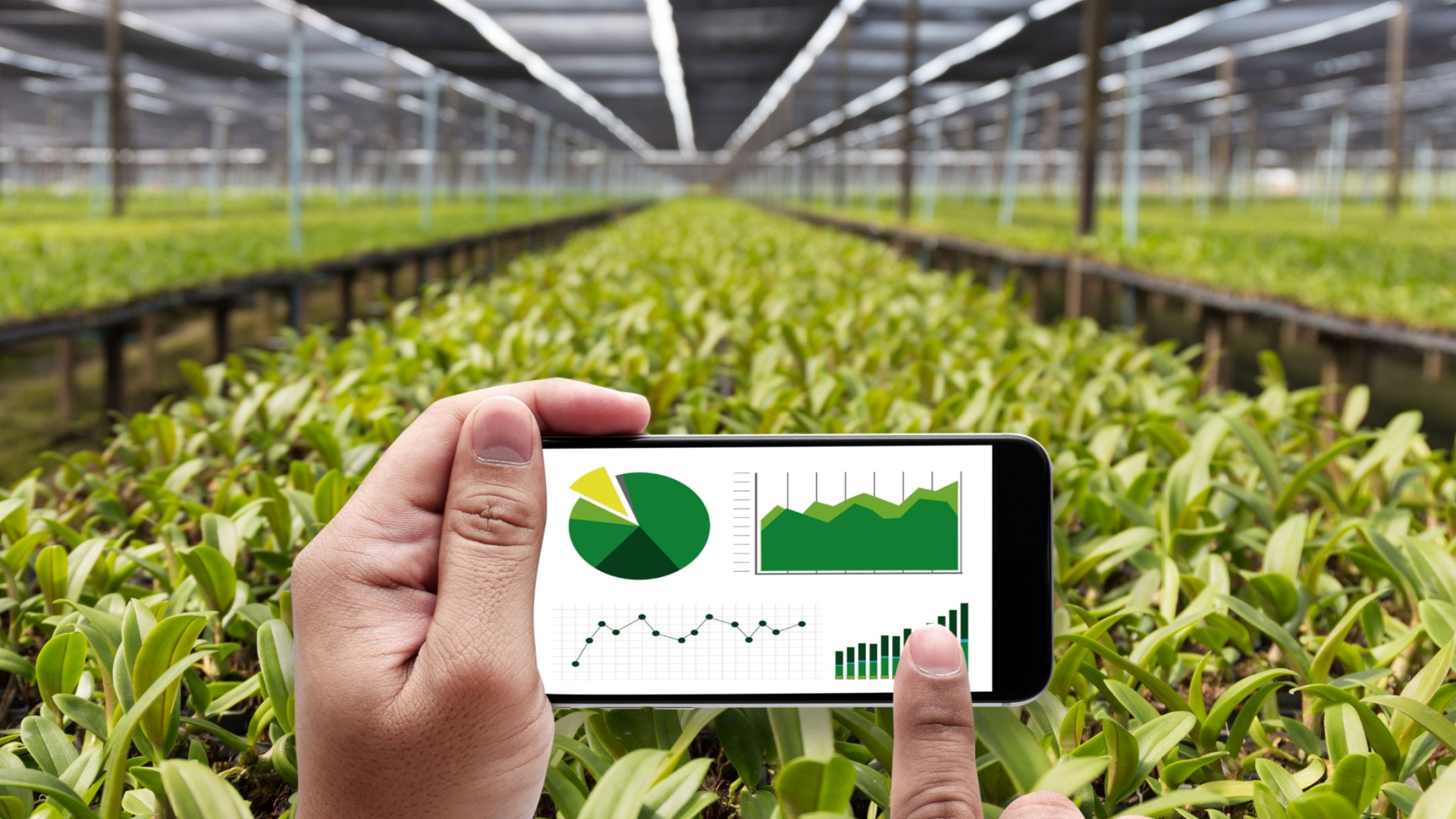 AgriFoodTech: l’Italia resta indietro negli investimenti, ma l’innovazione è la chiave per il futuro dell’agroalimentare