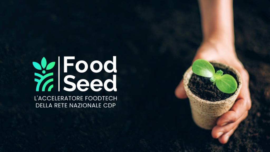 Spreco alimentare e plastica: l’Italia cerca soluzioni e FoodSeed lancia tre startup promettenti